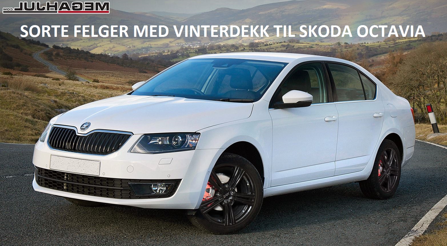 sorte-felger-med-vinterdekk-til-skoda-octavia